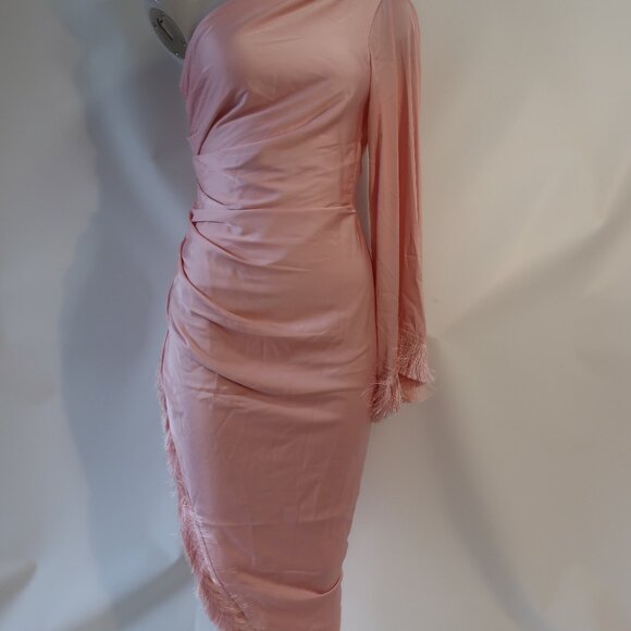 NWT Womens PatBO Light Pink Fringe Trim One Shoulder Asymmetric Oscar Dress 6 - Picture 8 of 16